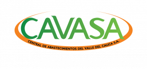 Cavasa Logo